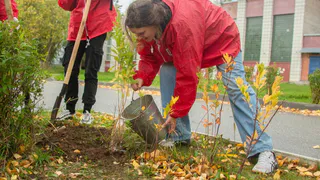 Яблоневая аллея в Ухте станет еще более цветущей и ароматной