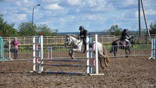 В Коми в минувшие выходные прошли соревнования по конному спорту: итоги подведены