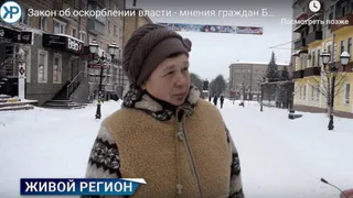 Закон об оскорблении власти: что думают об этом жители Брянска