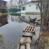 В Муроме приступили к устранению подтопления жилого дома