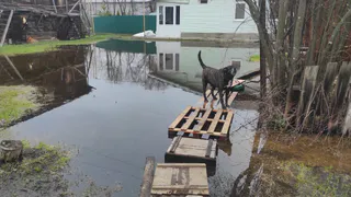 В Муроме приступили к устранению подтопления жилого дома