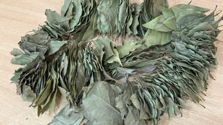 Лавровый лист засыпаю солью — весь июнь не нарадуюсь своей хитрости: полезный лайфхак для любой домохозяйки