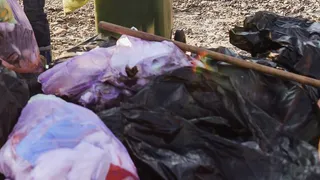 Во Владимире прокуратура проведет масштабные проверки на соблюдение норм обращения с отходами