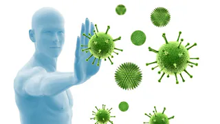 Роспотребнадзор: как укрепить иммунитет? 