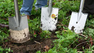 Выращивание картофеля под соломой: старый метод с новыми преимуществами