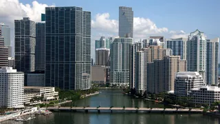 Брянский депутат-единоросс улетает в США