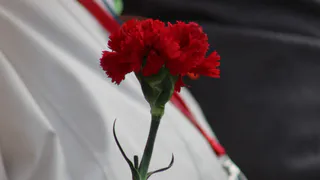 Региональный слет объединит молодежь Магнитогорска и Челябинской области