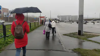 Осень придет раньше времени: аномальный холод накроет Россию уже на следующей неделе