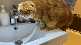 В Рязани опубликовали график отключений горячей воды на май