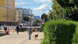 Гуляли по паркам, заглядывали в машины: полиция с собаками патрулировала Рязань