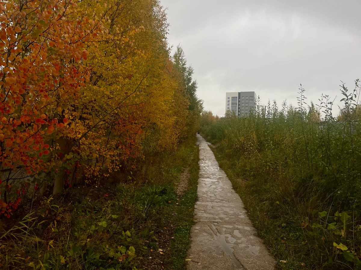 Дождливо и холодно: синоптики рассказали о погоде в Чувашии на 30 октября