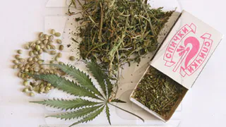 Нижнекамец подозревается в склонении несовершеннолетней к употреблению наркотиков