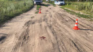 В Рязанской области водитель Volvo задавил четырехлетнего ребенка