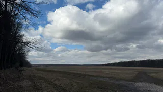 В Сараевском районе отменили восьмилетний карантин по повилике