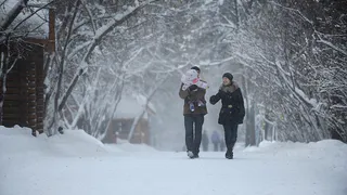 Синоптики сообщили о рекордном тепле в Рязани в новогоднюю ночь