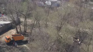 "В овраг грузовиками возят мусор" - жители о новой свалке в Южном