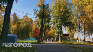 Готовьтесь открывать форточки нараспашку: бабье лето заглянет в октябре