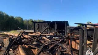 В Коми оперативно ликвидировали крупный пожар хозяйственных построек