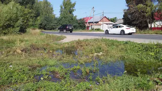Второй день улицу в Дашково-Песочне затапливает из-за прорыва водопровода
