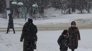 "Тепла в марте не ждите": весна не придёт в начале марта