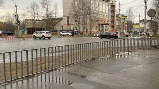 «Лето будет абсолютно аномальным»: Метеорологи рассказали, к чему готовиться