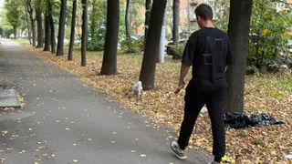 1 стихотворение Пушкина, которое понятно только после 40. Это придется пережить каждому