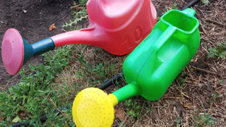 Для полива кабачков теперь лейка не нужна — заменила ее другим предметом: ни одной капли воды на листьях не окажется