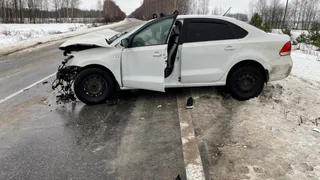 Полицейские разыскивают очевидцев смертельного ДТП в Рязанской области