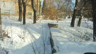 В Рязанской области участок земли стал свалкой