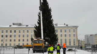 Неожиданная смена климата: появился первый прогноз погоды на Новый год