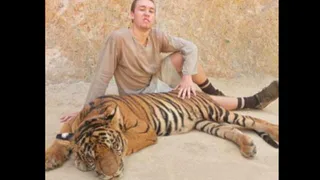 Зоозащитники попросили перестать кадрить девушек с помощью тигров