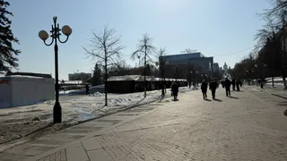 Рязанские полицейские вернули на родину злостных алиментщиков