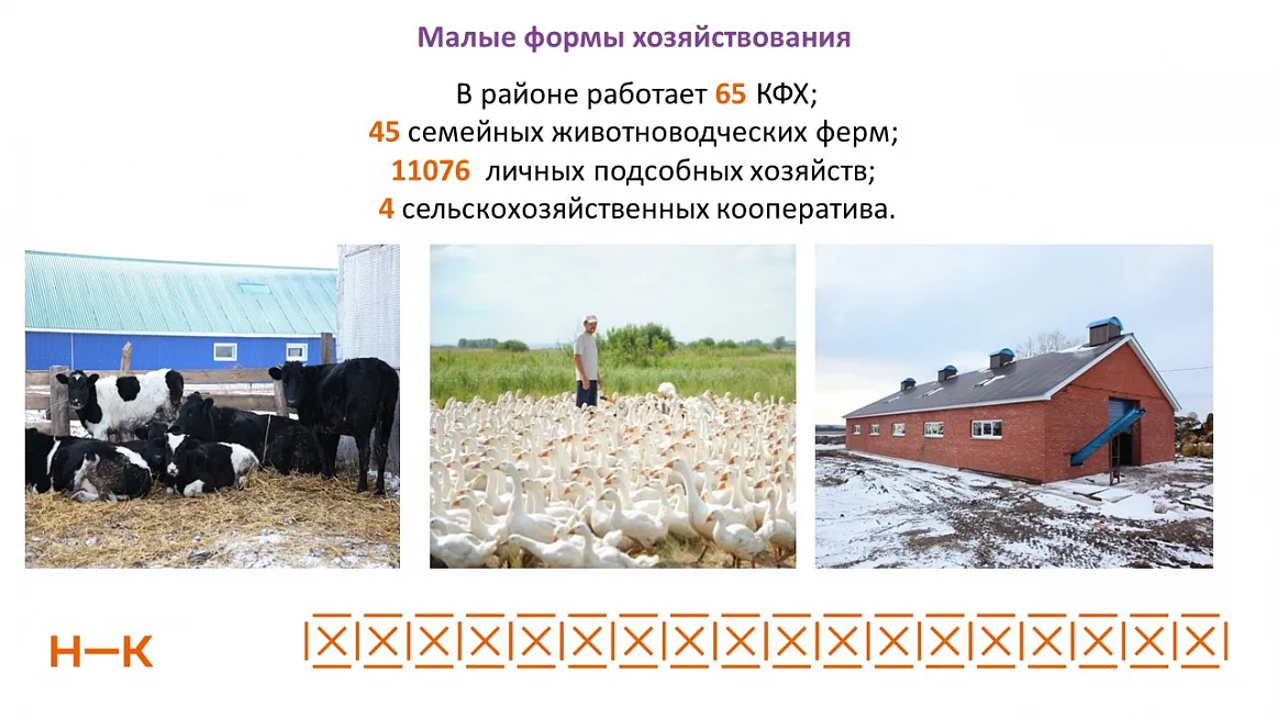 В Нижнекамске за три месяца произведено 5515 тонн мяса