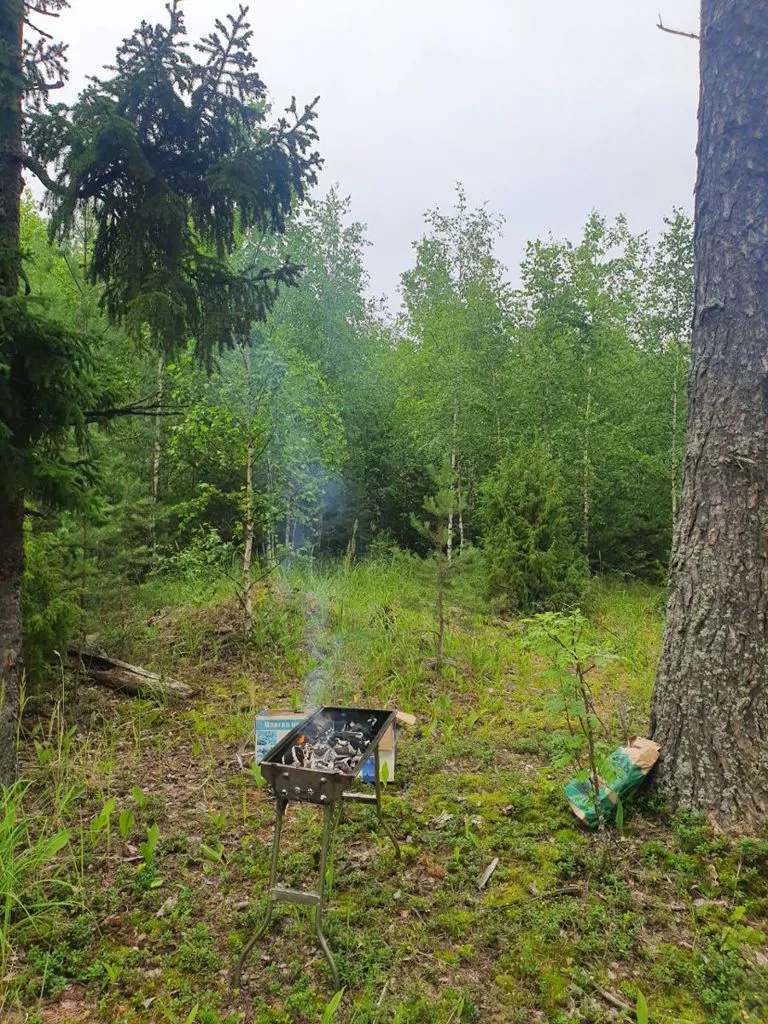 Тлеющий мангал обнаружили в лесу Чувашии во время рейда