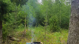 Тлеющий мангал обнаружили в лесу Чувашии во время рейда