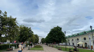 «Главное — чтобы не растворились»: рязанцы скептически отнеслись к распределению турналога