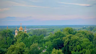В Рязани 8 августа состоится согласованный пикет в защиту Комсомольского парка