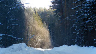 Первая рабочая неделя года начнётся с холодов: прогноз погоды в Челябинской области на 12 января