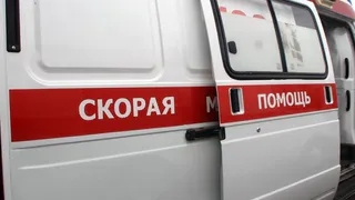 В Гордеевке легковушка сбила мужчину с 3-летней девочкой на руках