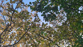 Прогноз погоды в Нижнекамске: солнечно, но прохладно