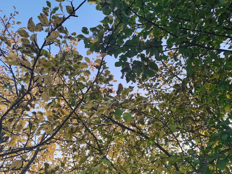 Прогноз погоды в Нижнекамске:  солнечно, но прохладно
