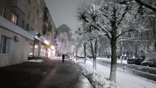 До трех градусов тепла и небольшой снег ожидается в Чувашии 2 декабря