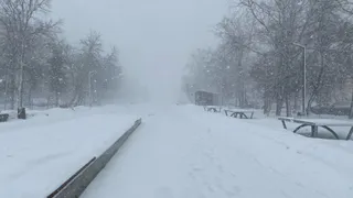 6 марта в Рязани продолжит дуть сильный ветер 