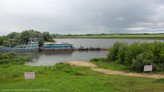 Больше не будет "рыбной воды"? Акваторию Дядьковского затона очистили от ила