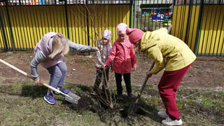 430 саженцев: в Рязани прошел субботник по озеленению