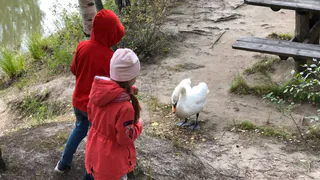 Эти имена просто исчезли: как перестали называть детей в России — они были очень популярны всего 50 лет назад