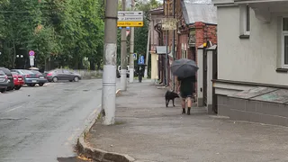 Сентябрь встретит нас дождями и холодными ночами: новый прогноз на начало месяца