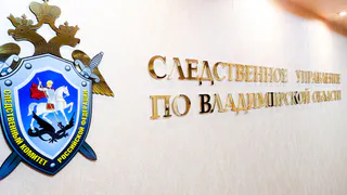 Жительницу Петушков отправили под домашний арест за поджог входа в здание полиции