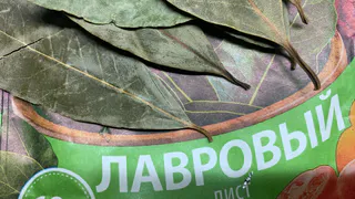 Раз в 5 дней кладу лавровый лист в унитаз: радости нет края — опытная хозяйка советует