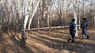 Пропавшую в Татарстане пожилую женщину обнаружили мертвой